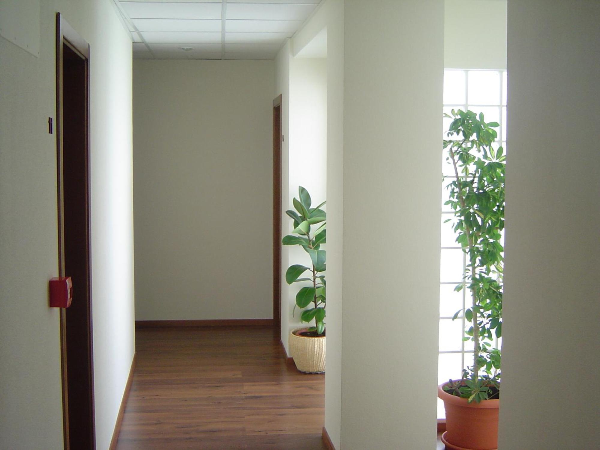 Hostal El Estudio 알만사 외부 사진