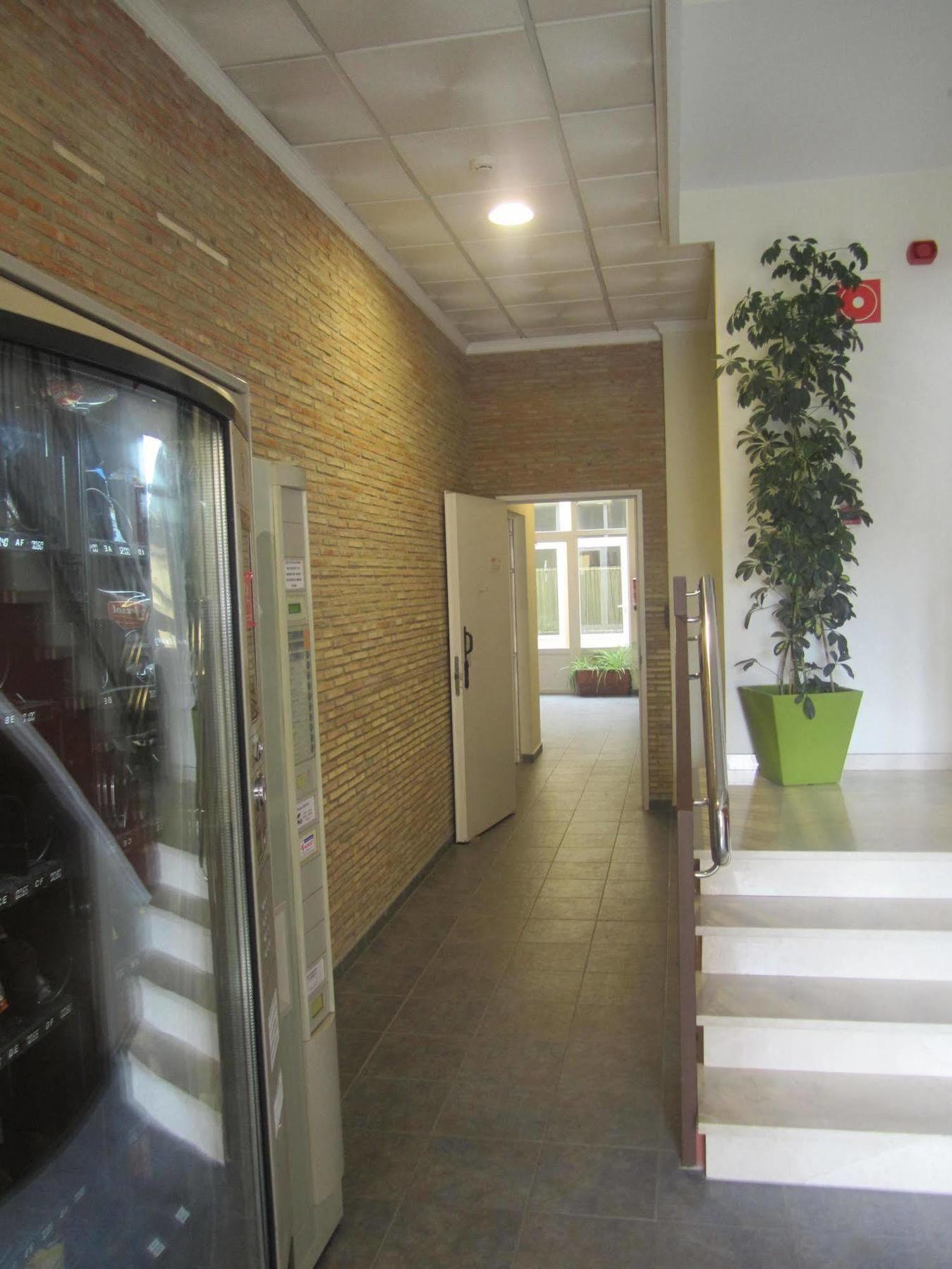 Hostal El Estudio 알만사 외부 사진